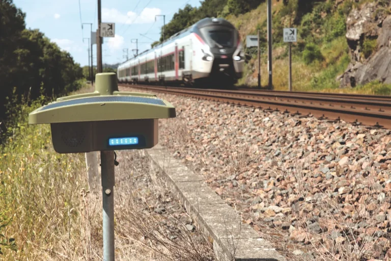 Blue Sentinel and Train scare tag